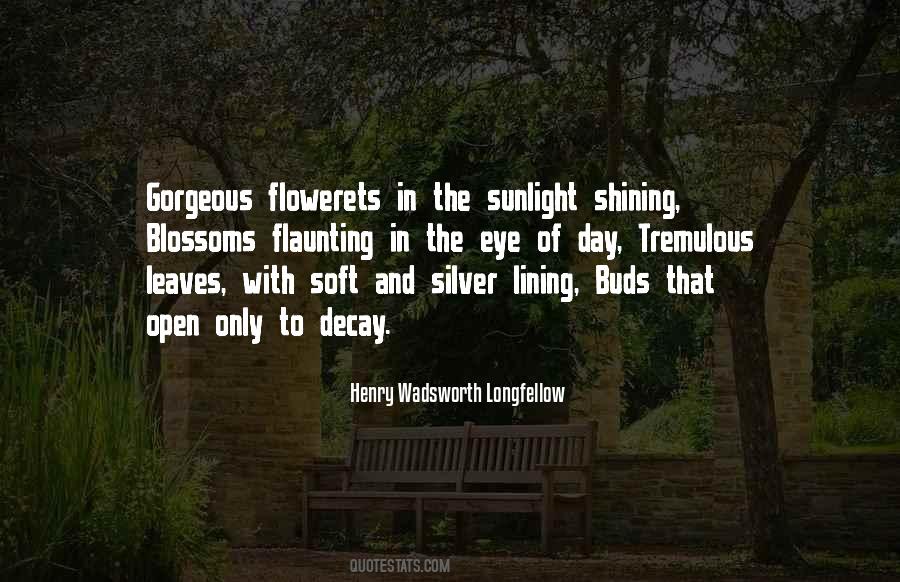 What A Gorgeous Day Quotes #983163
