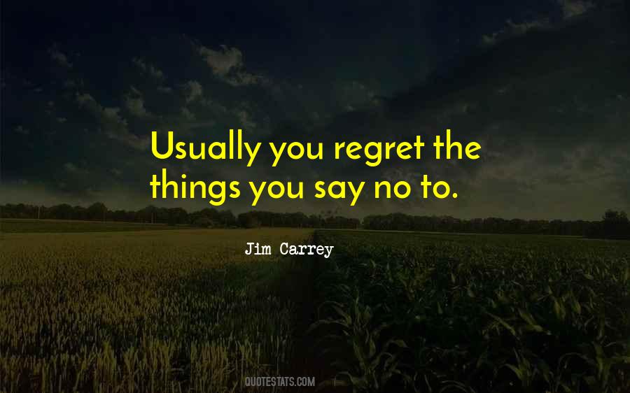 Regret The Things Quotes #1746175