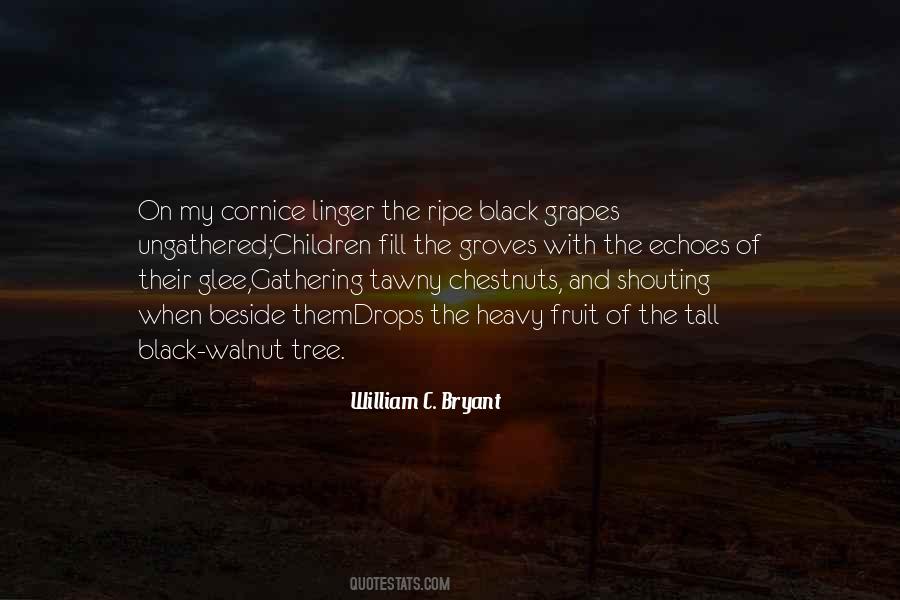 Black Walnut Quotes #1268282
