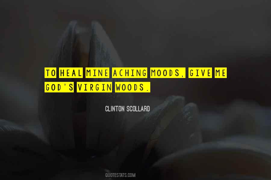 Yster Pampoen Quotes #680376