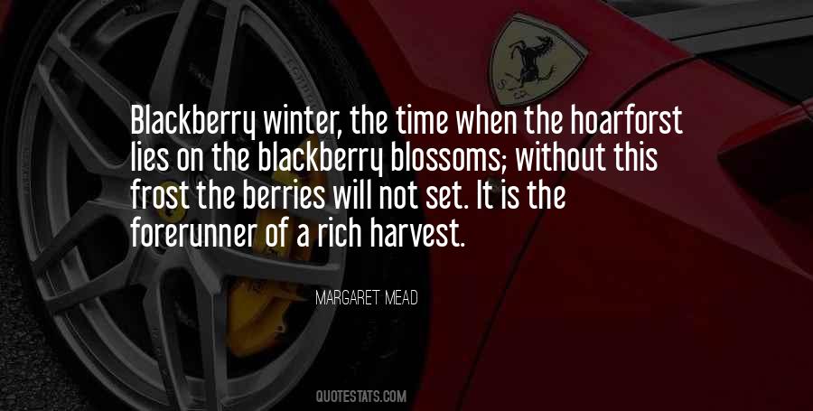 Blackberry Winter Quotes #396763