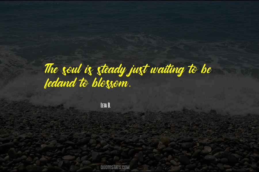 Vivanonno Quotes #460620
