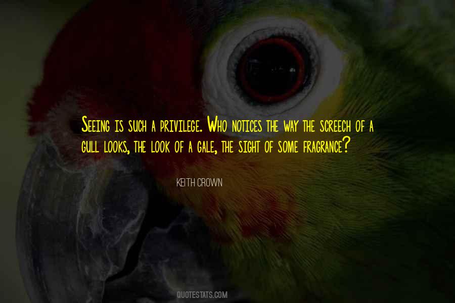 Paneled Interior Quotes #1236771