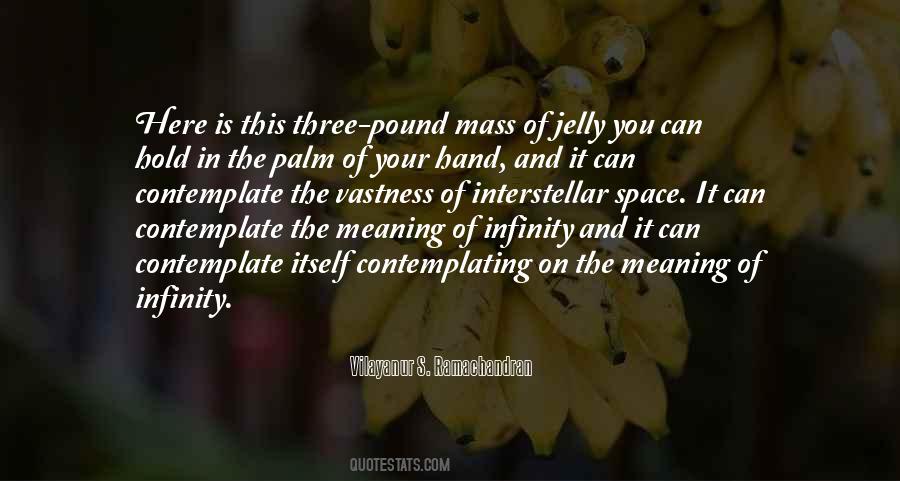 Facticity And Transcendence Quotes #1624243