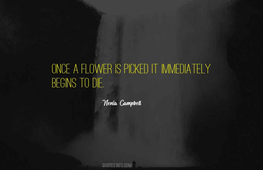 Stepanek Chiropractic Vero Quotes #1271117