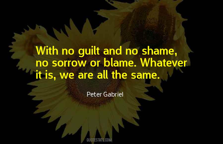 Blame And Shame Quotes #260853