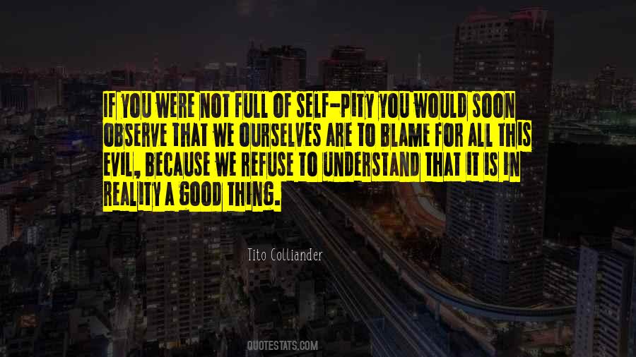 Blame Ourselves Quotes #1093798