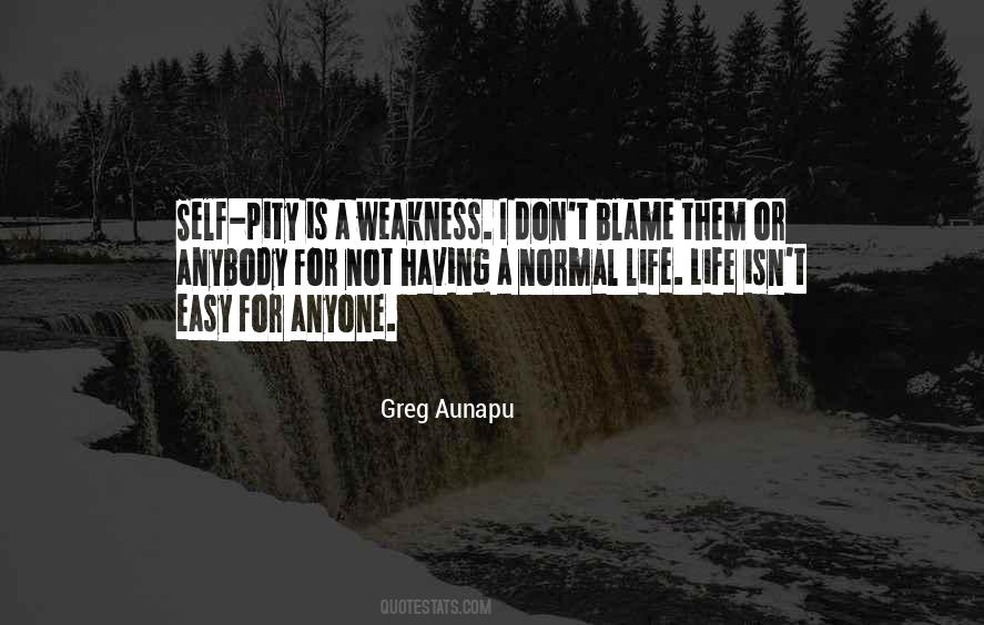 Blame Self Quotes #977019