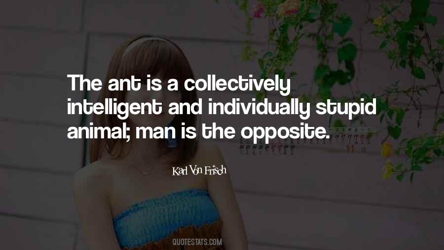 The Ant Quotes #1333154