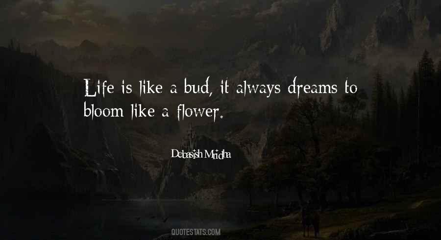 Aveline Mattress Quotes #153707
