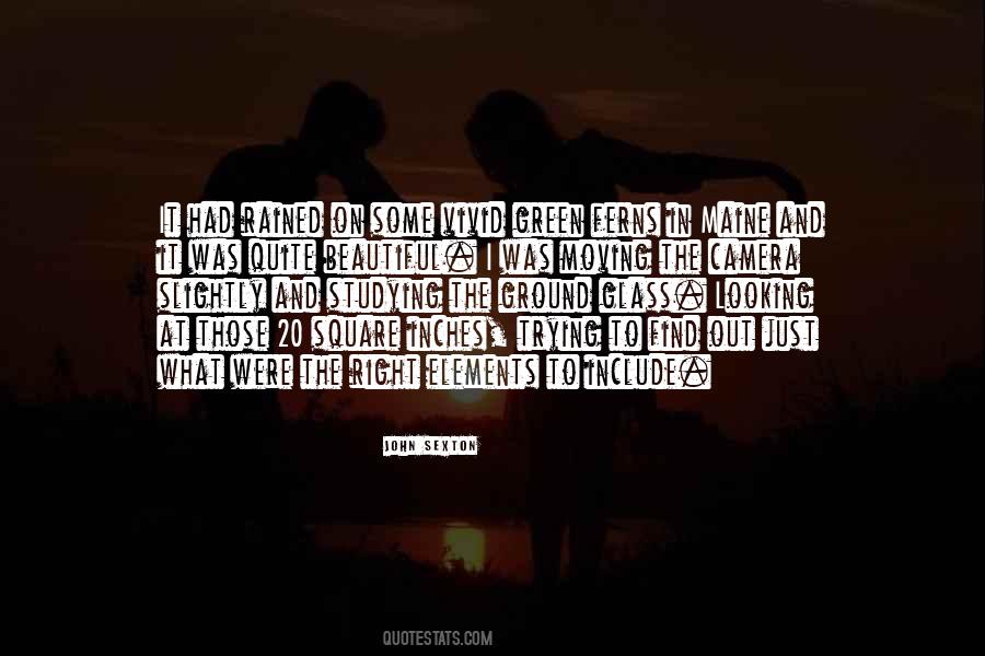 Trying To Find It Quotes #26564