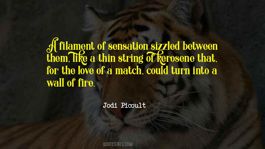For The Love Quotes #1855858