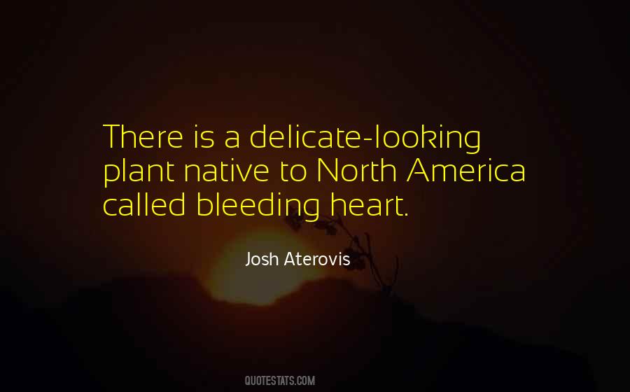 Bleeding Heart Plant Quotes #1798836