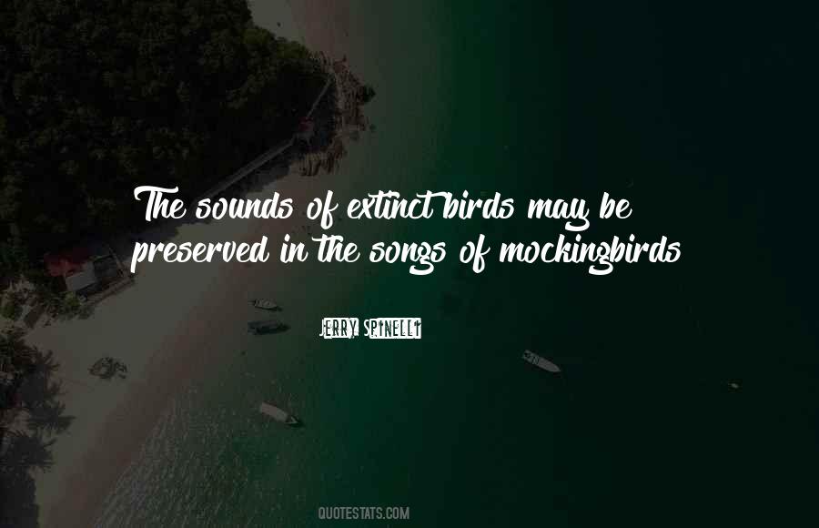 Juan M Maldacena Quotes #628409