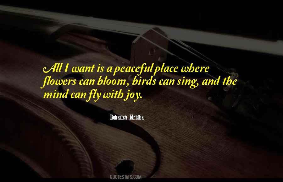 I Want A Peaceful Place Quotes #328840