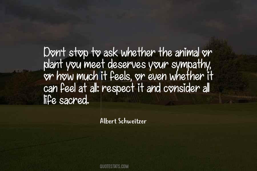 Saanen Goats Quotes #885841