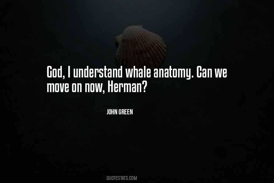 Rengarenk Resimler Quotes #217693