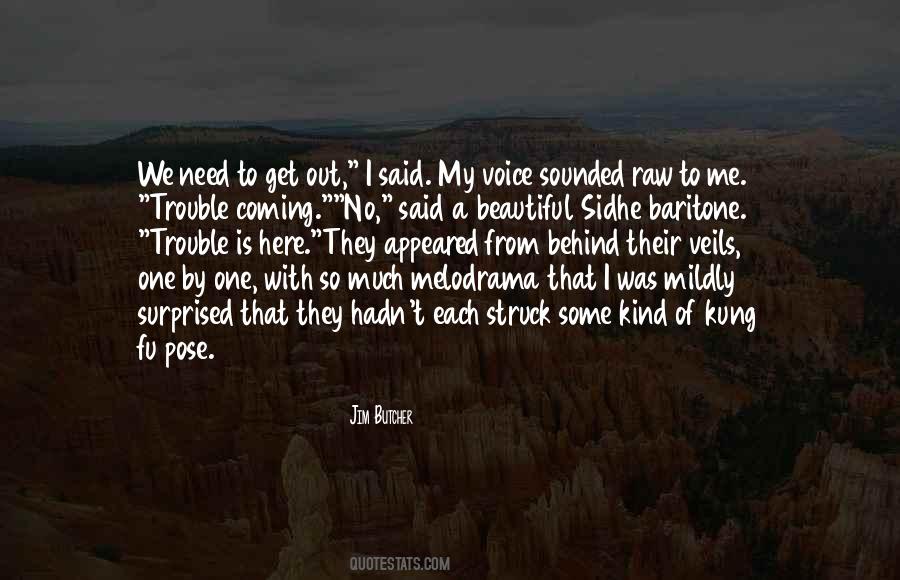 Lambition Quotes #1011594