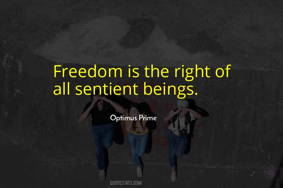 Braiteh Fadi Quotes #1551203