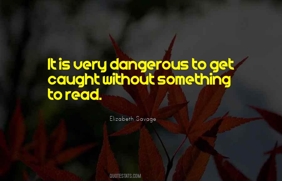 Pa Ses Desenvolvidos Quotes #212705