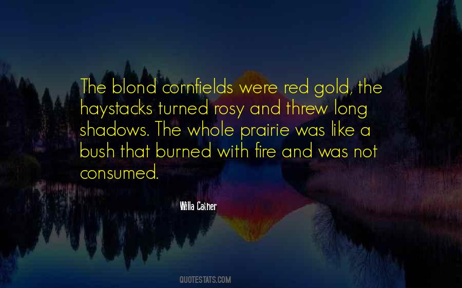 Basmajian Colin Quotes #113645