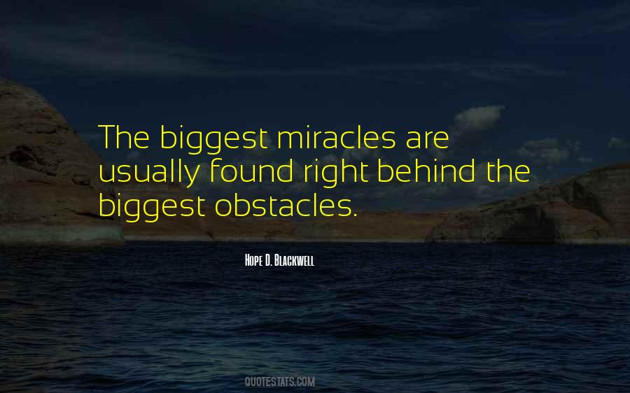 Tuviah Schreiber Quotes #205648