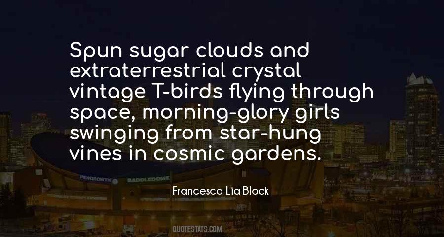 Block Quotes #35955 Block Quotes #35955