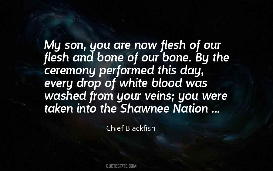 Blood And Bone Quotes #687463