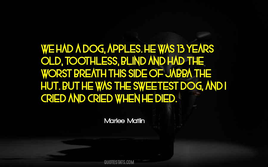 Toothless Dog Quotes #128949