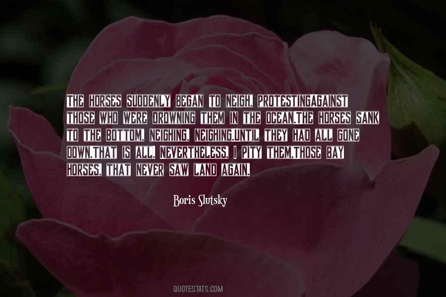 Byrider Franchising Quotes #399663