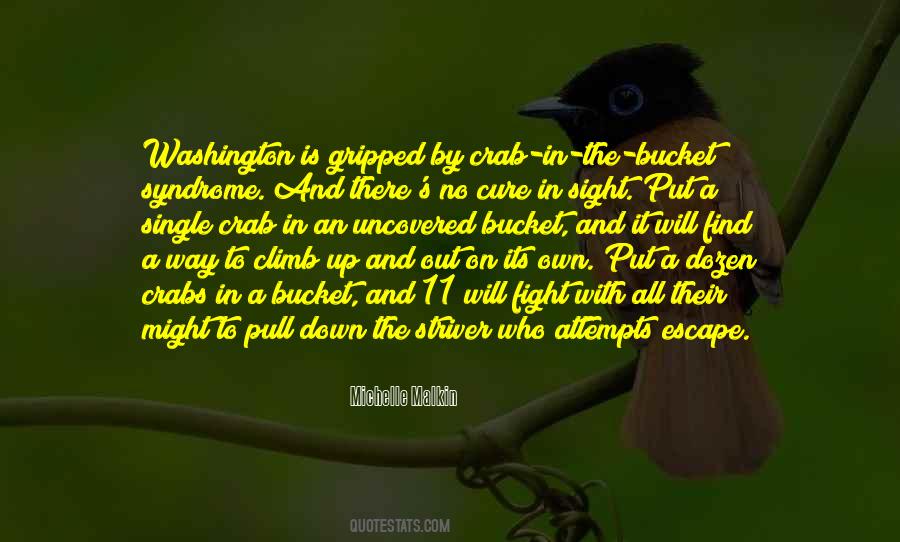 Fenice Palas Quotes #913827