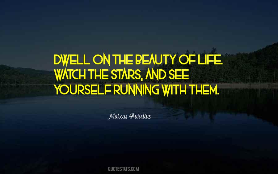 Beauty Of The Stars Quotes #1736471