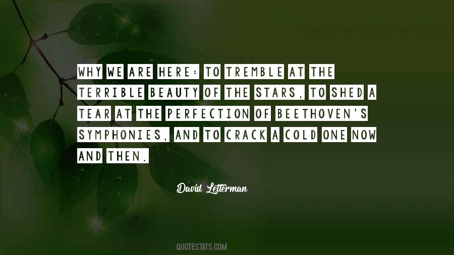 Beauty Of The Stars Quotes #451226