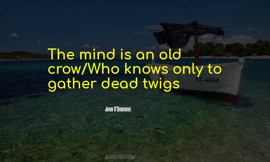 Afore Banorte Quotes #1348086