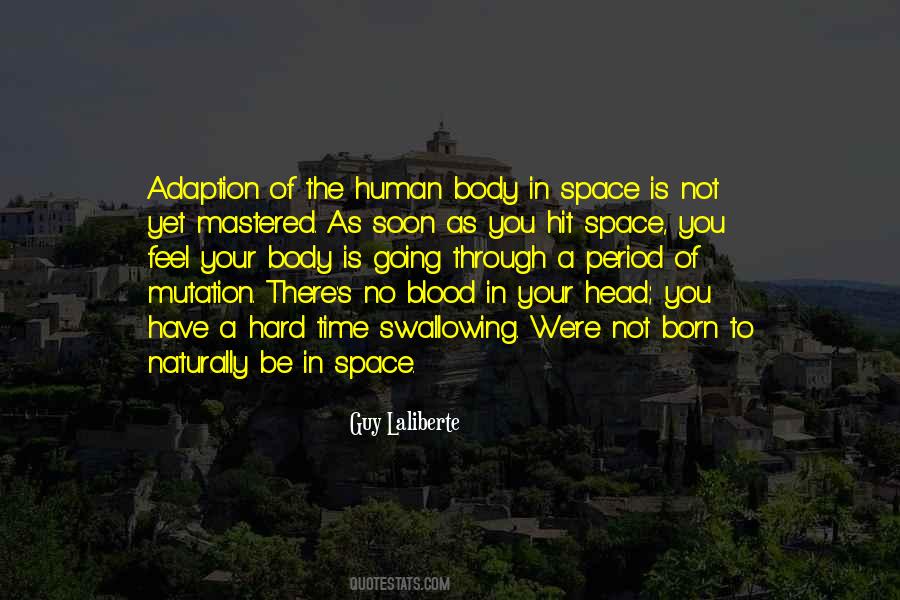 Stonehouse Restaurant Quotes #1513515