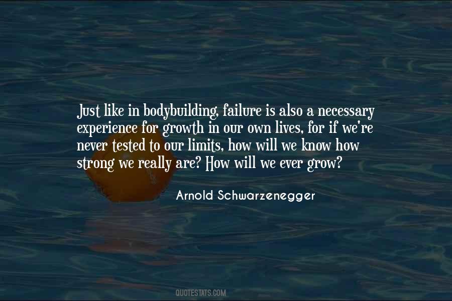 Formulative Mediation Quotes #448791