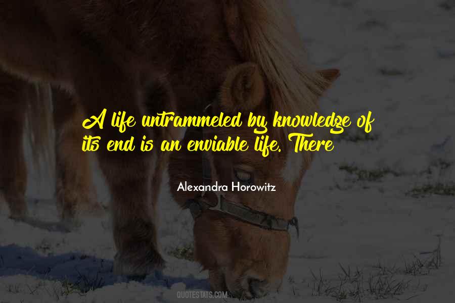 Rayon De Soleil Quotes #358632
