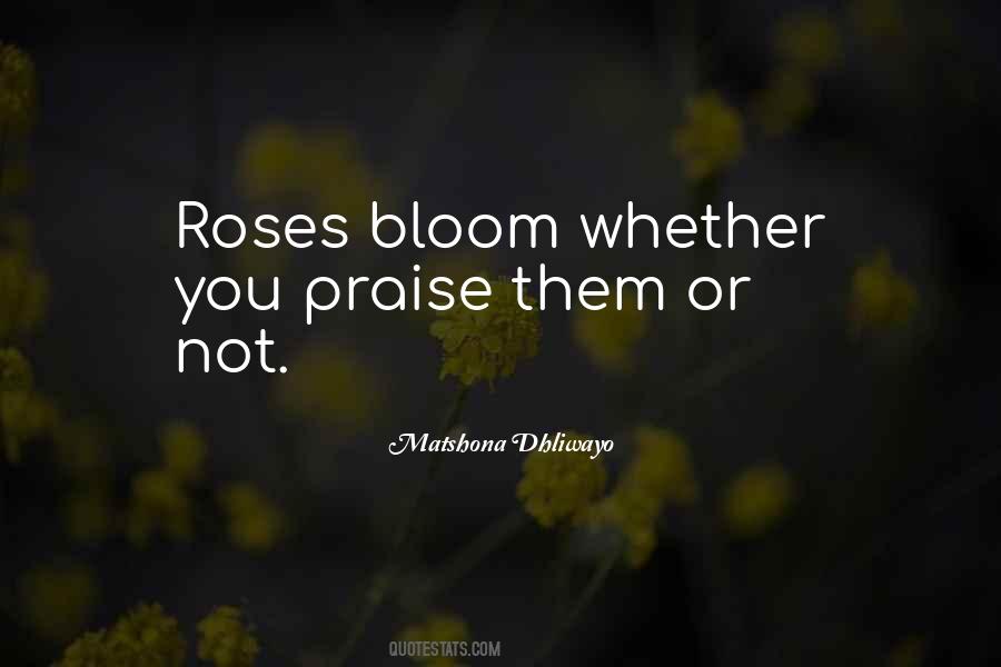 Bloom Quotes #1162663