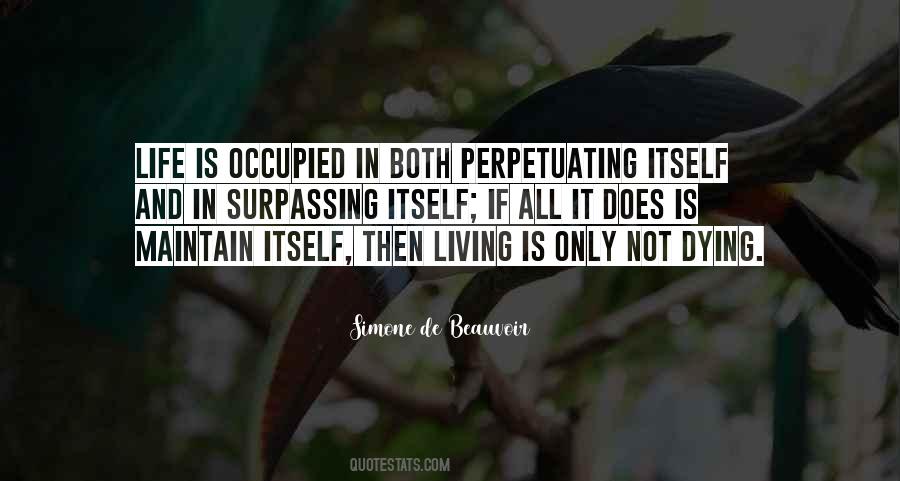 Rotunno Stone Quotes #1015930