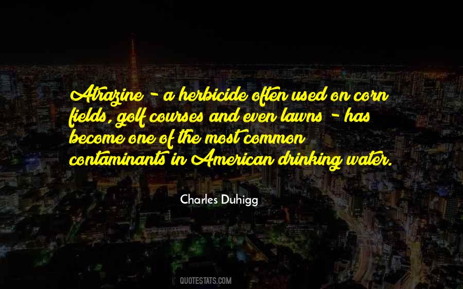 Companywide Strategy Quotes #1228349