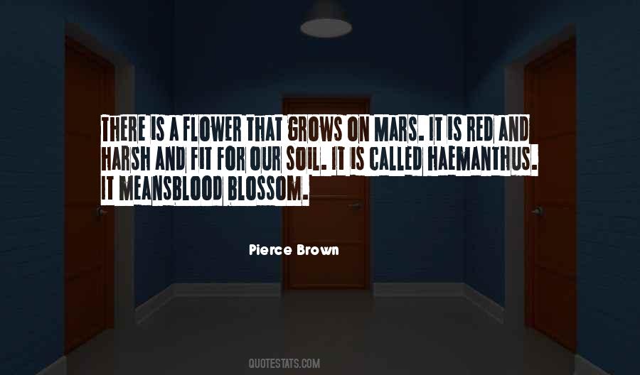 Blossom Flower Quotes #1021045