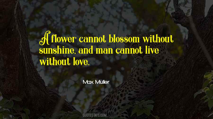 Blossom Flower Quotes #184178