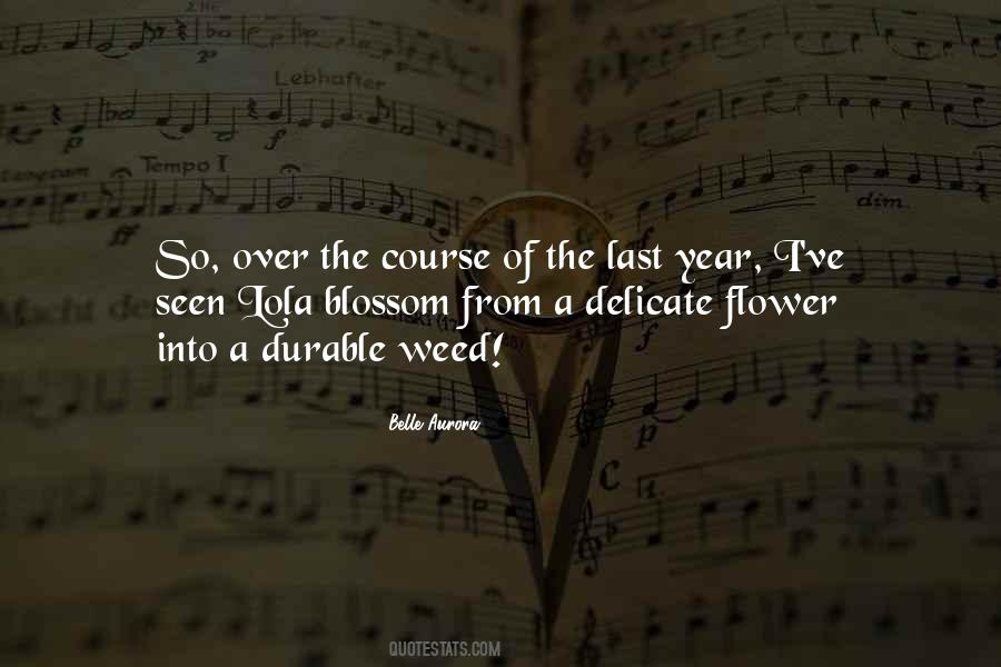 Blossom Flower Quotes #436227