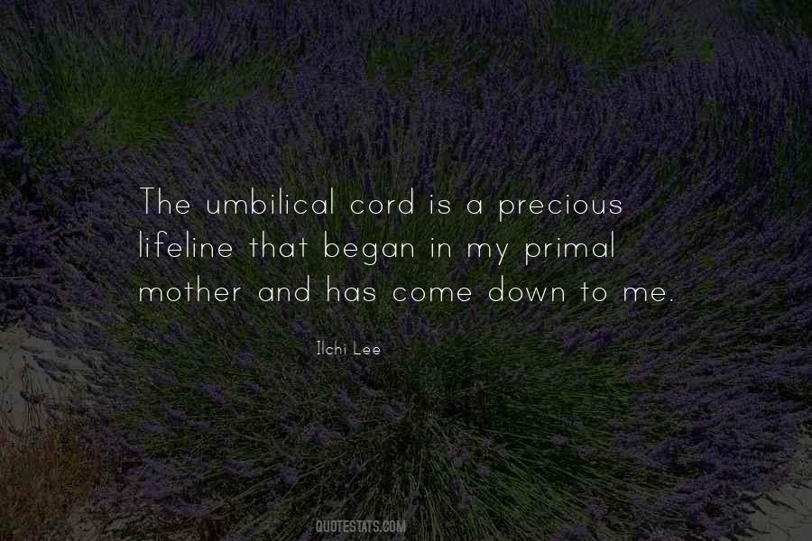 Anabasis Salsa Quotes #1073773