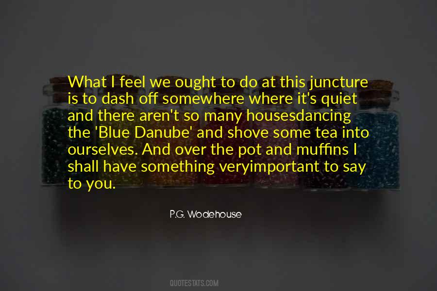 Blue Danube Quotes #39082