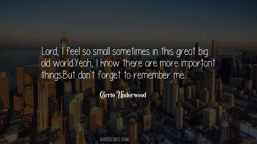 Small Things Are Great Quotes #543293