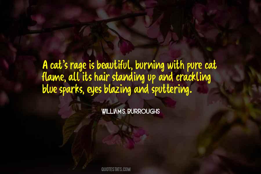 Blue Eyes Cat Quotes #415292