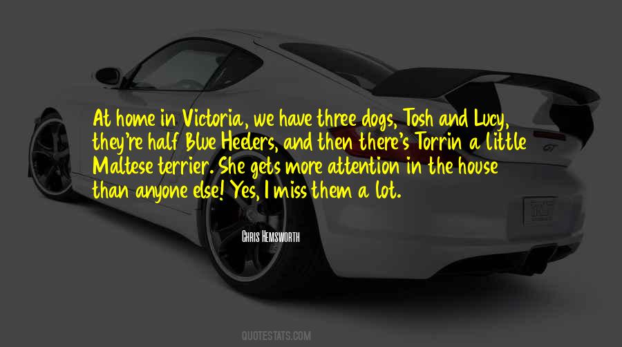 Blue House Quotes #1252032