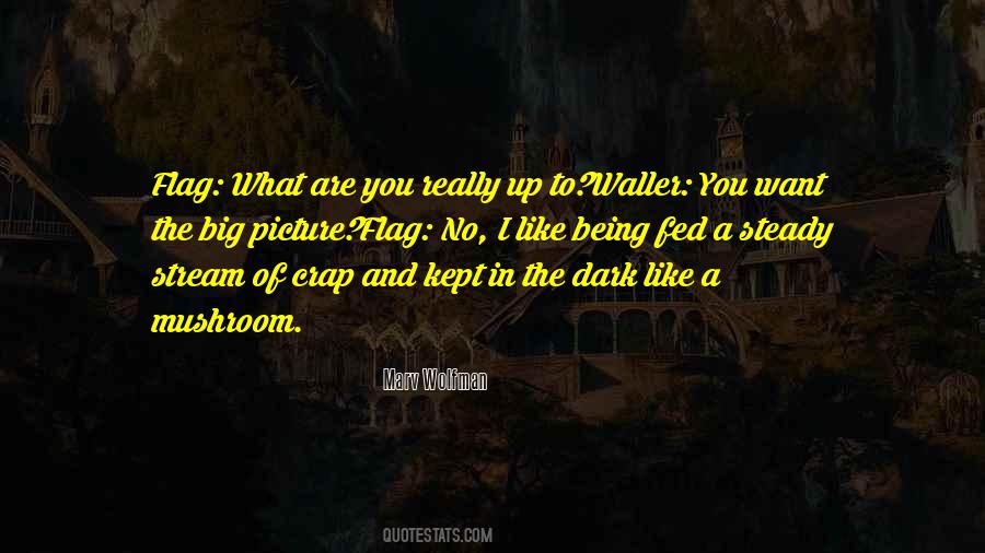 1v860 Quotes #487489