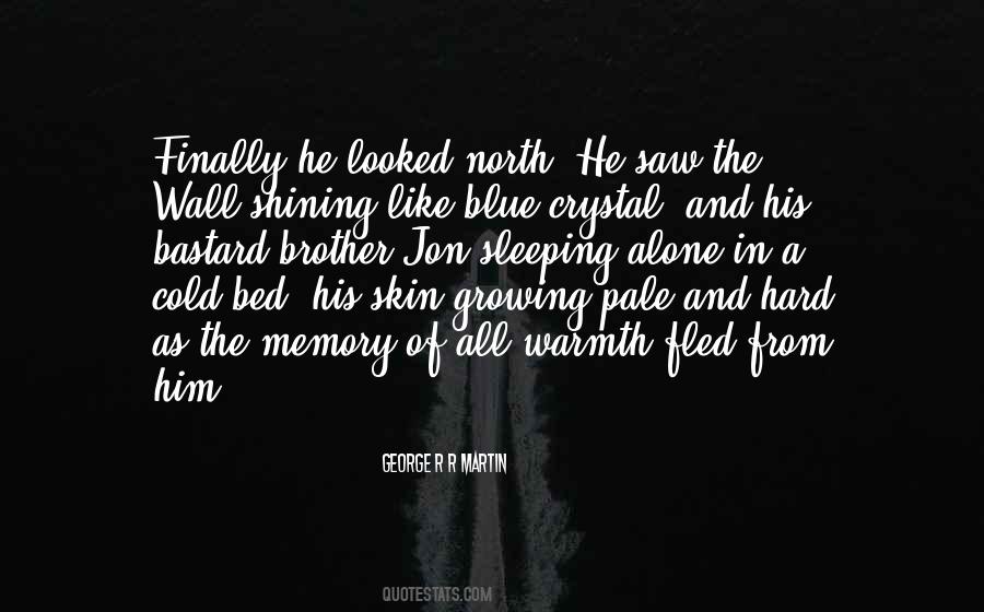 Blue Skin Quotes #660319